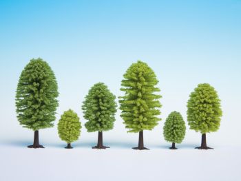 NOC26801 - Lotto di 25 alberi decidui di altezza da 5 a 9 cm