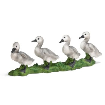 SHL13657 - Agnello