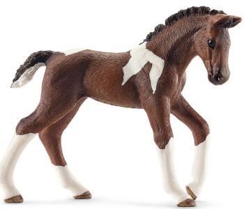 SHL13758 - Puledro Trakehnen