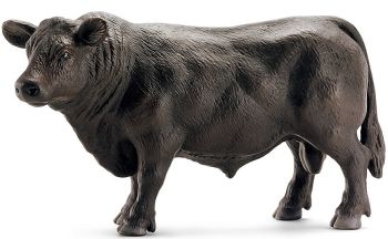SHL13766 - Angus toro