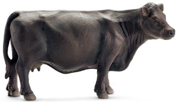 SHL13767 - Mucca Angus