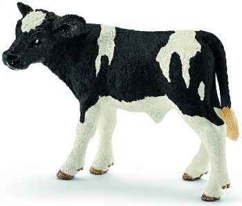 SHL13798 - vitello Holstein