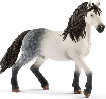 SHL13821 - stallone andaluso