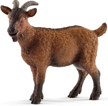 SHL13828 - Capra