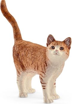 SHL13836 - Gatto
