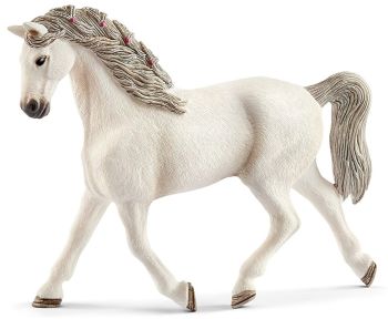 SHL13858 - Cavalla Holstein