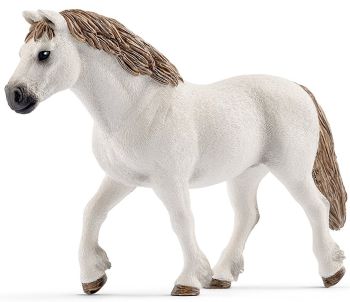 SHL13872 - Pony di razza gallese