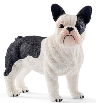 SHL13877 - Bulldog francese