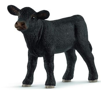 SHL13880 - Angus vitello
