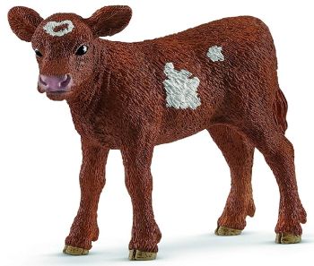 SHL13881 - Vitello Texas Longhorn