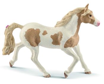 SHL13884 - cavalla vernice Cavallo