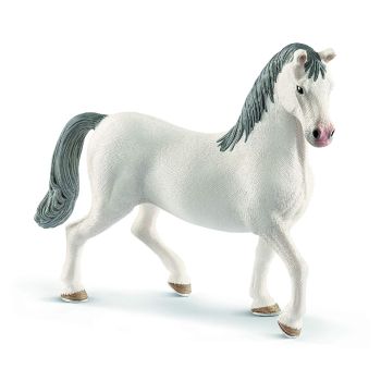 SHL13887 - Stallone lipizzano