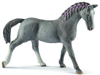 SHL13888 - Trakehnen cavalla