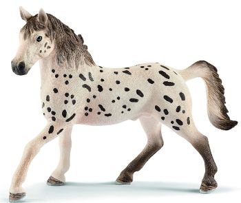 SHL13889 - Stallone Knabstrupper