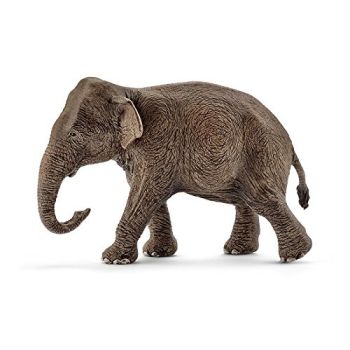 SHL14753 - Elefante asiatico - femmina