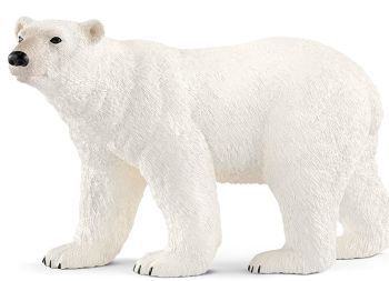 SHL14800 - Orso polare