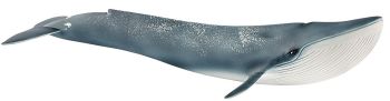 SHL14806 - Balena Blu