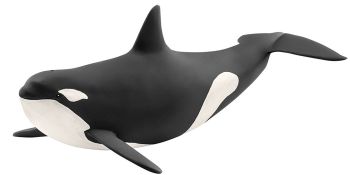 SHL14807 - orca