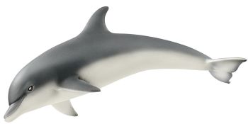 SHL14808 - Delfino