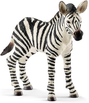 SHL14811 - Zebreo