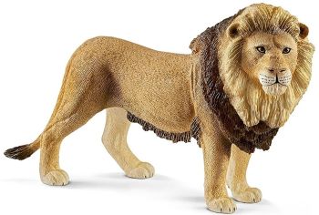 SHL14812 - Leone