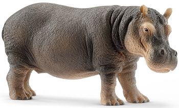 SHL14814 - Ippopotamo
