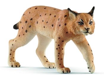 SHL14822 - Lince