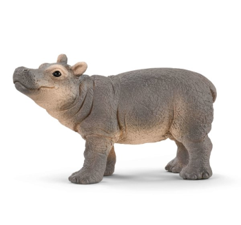 SHL14831 - Giovane ippopotamo