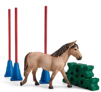 SHL42483 - Slalom di pony