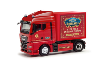 HER318778 - MAN TGX GX 4x2 con container RONCALLI