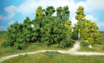 HEK1950 - Lotto di 10 alberi da frutto 8-12 cm