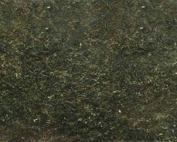 NOC08350 - Erba forestale - 2;5 mm - 20 g
