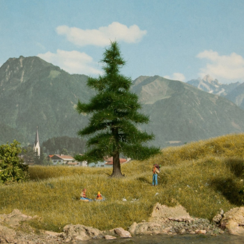 NOC21810 - Albero Nordmann 12 cm
