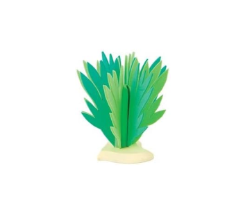 BUL81088 - Arbusto - 14 cm