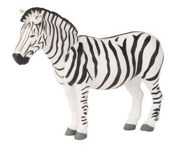 T16071 - Zebra