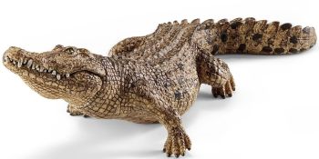 SHL14736 - Coccodrillo